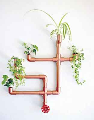 గోడమీద నల్లా పైపు!