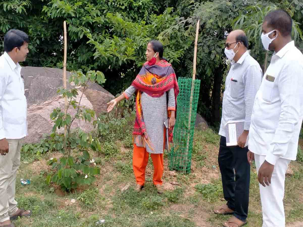 హరితహారం లక్ష్యాన్ని పూర్తి చేయాలి : డీఆర్‌డీవో పద్మజారాణి