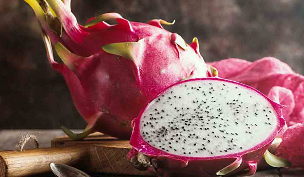 Dragon Fruit | డ్రాగ‌న్ ఫ్రూట్.. ఆదాయంతో పాటు ఆరోగ్యం.. సాగు ఈజీ..!