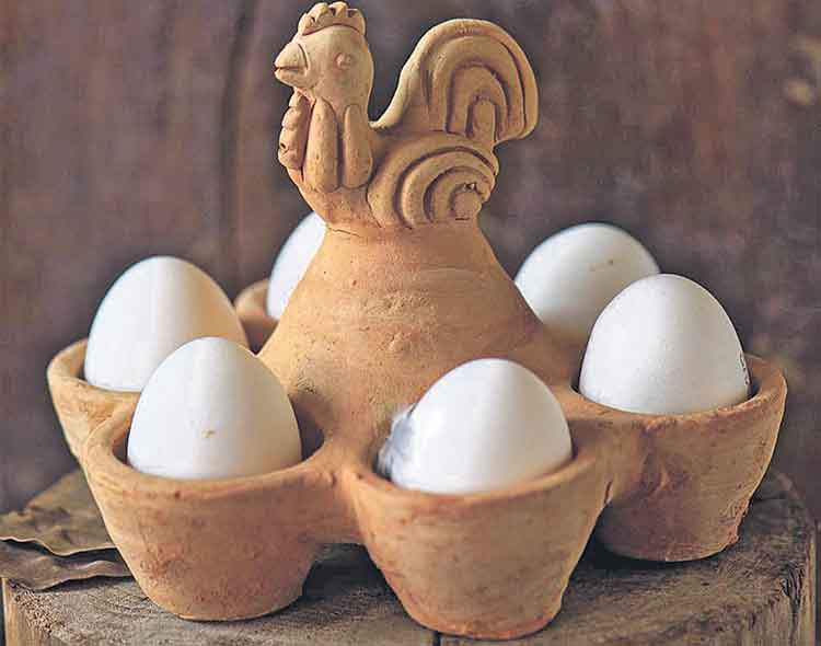 మట్టితో..‘గుడ్డు’ట్రే!