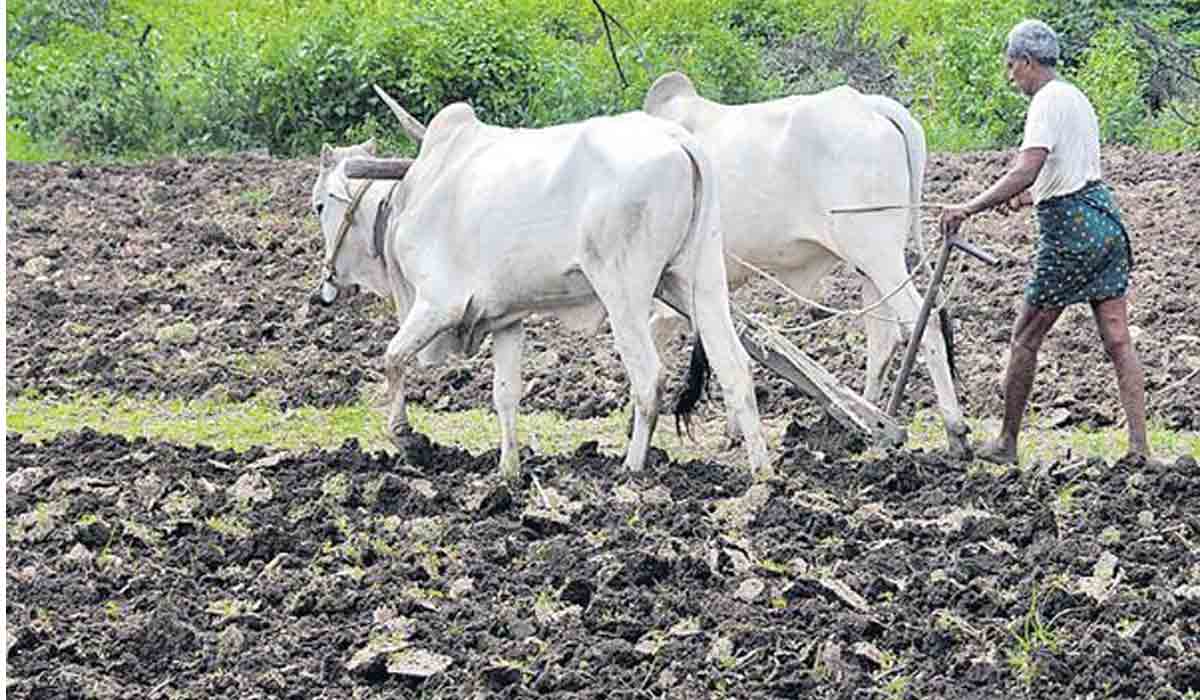Farm Loans | రైతుల శ్రేయ‌స్సే టీఆర్ఎస్ ప్ర‌భుత్వ ల‌క్ష్యం : మంత్రి కేటీఆర్