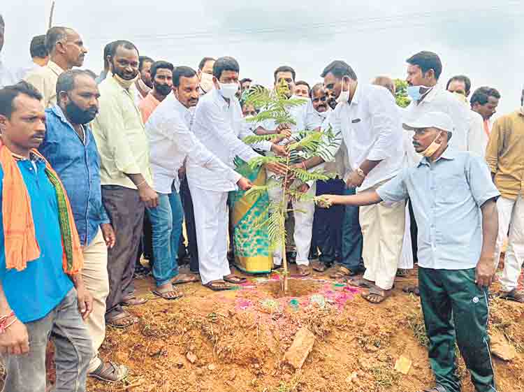 మొక్కలునాటిన ఎమ్మెల్సీ శేరి సుభాష్‌రెడ్డి