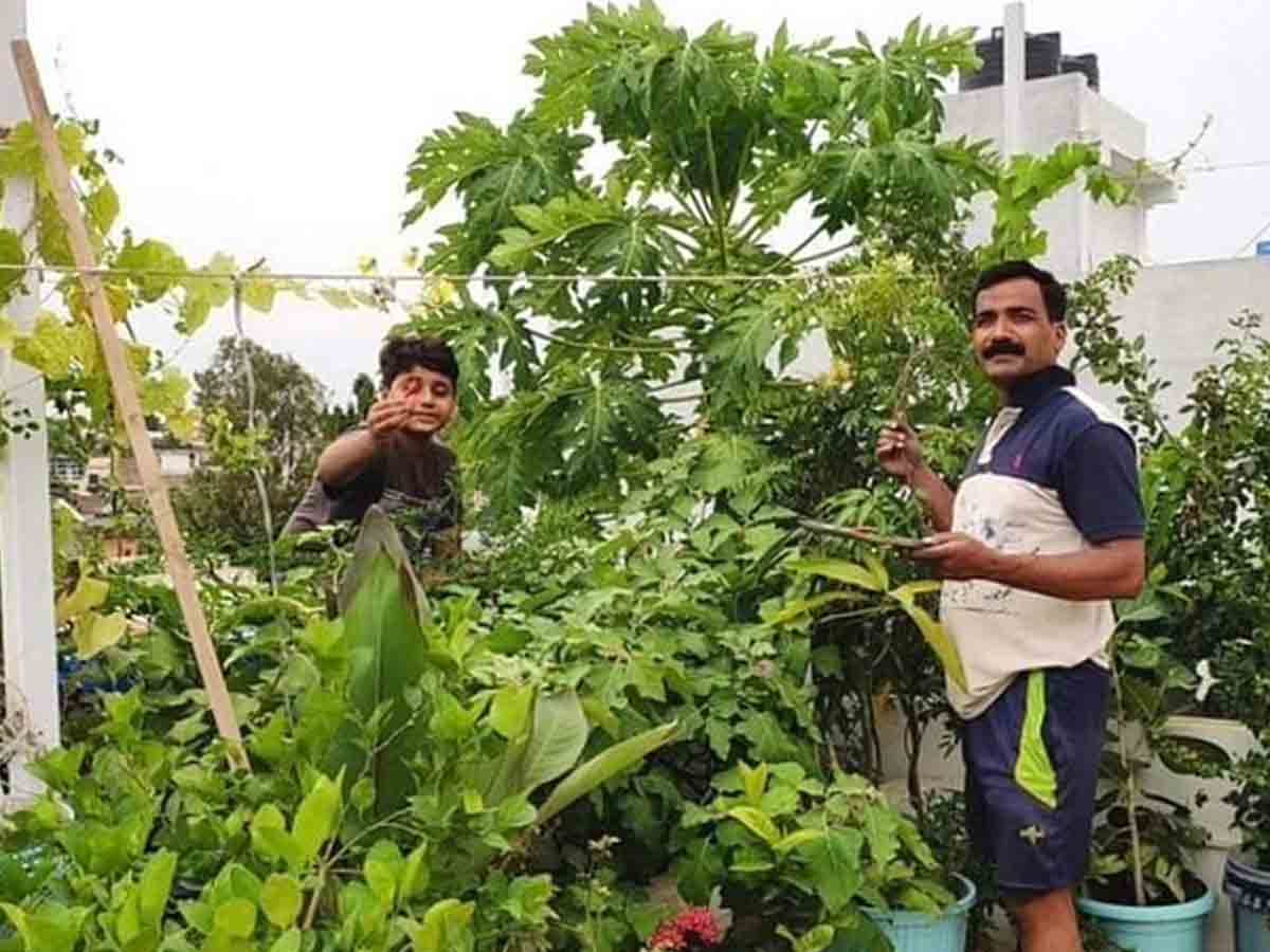 Urban Gardening : ఫేస్ బుక్ నేర్పిన గార్డెనింగ్.. మిద్దె మీద‌ 200 ర‌కాల కూర‌గాయ‌ల‌ను పండిస్తున్నాడు
