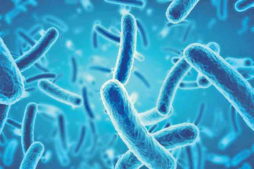 బ్యాక్టీరియాను పసిగట్టేలా..