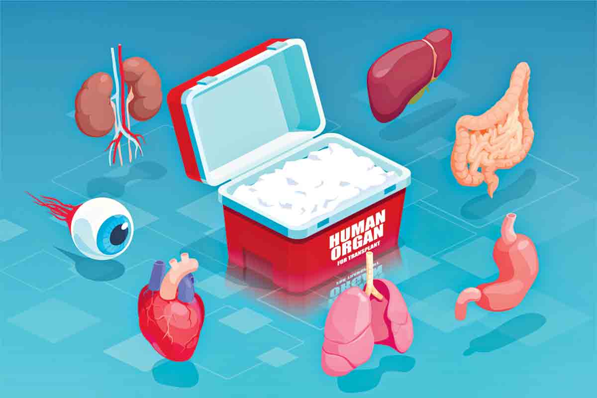 అవయవమిద్దాం ప్రాణం పోద్దాం