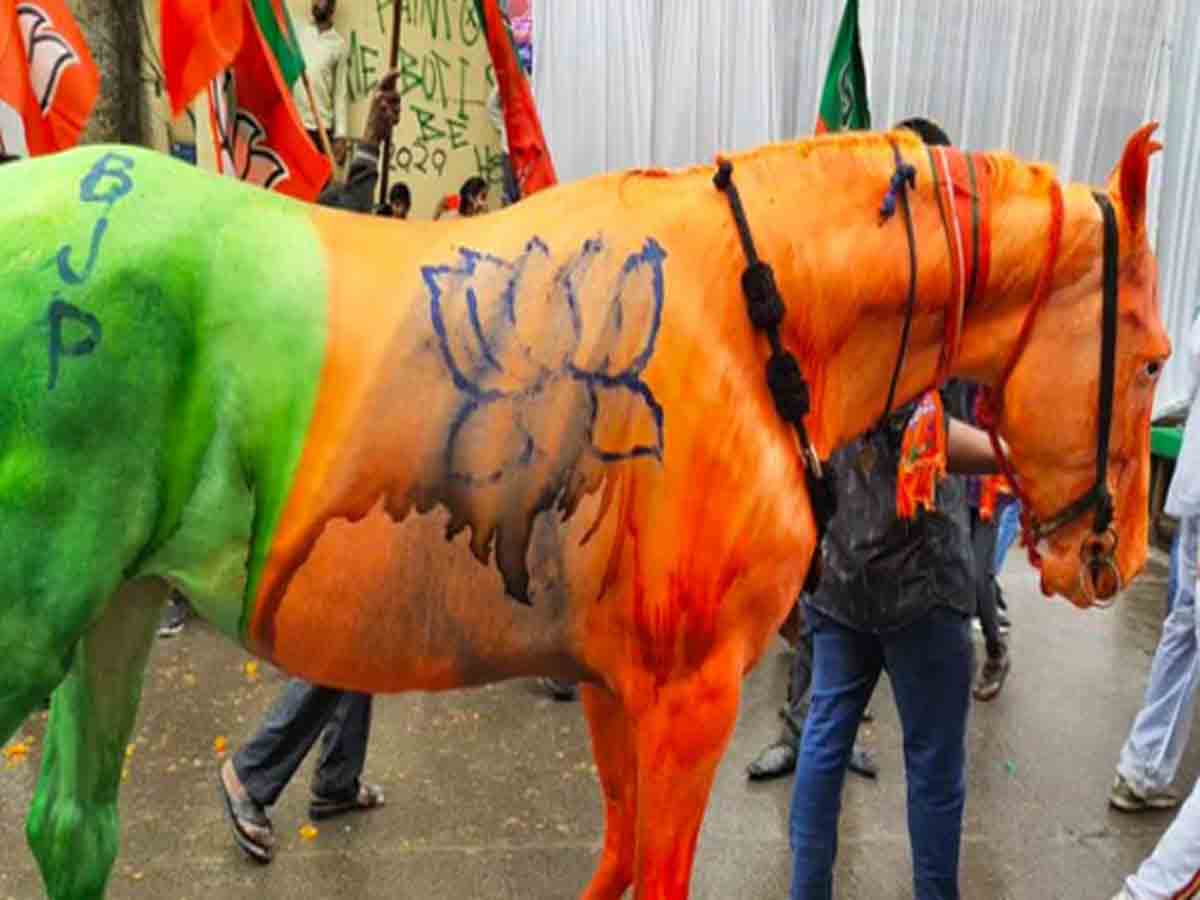 గుర్రానికి బీజేపీ జెండా రంగులు.. మేనకా గాంధీ ఎన్జీవో సంస్థ ఫిర్యాదు