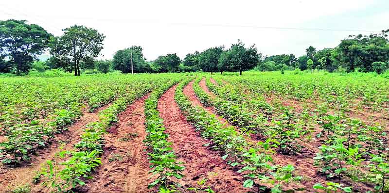 కలిసొచ్చిన కాలం