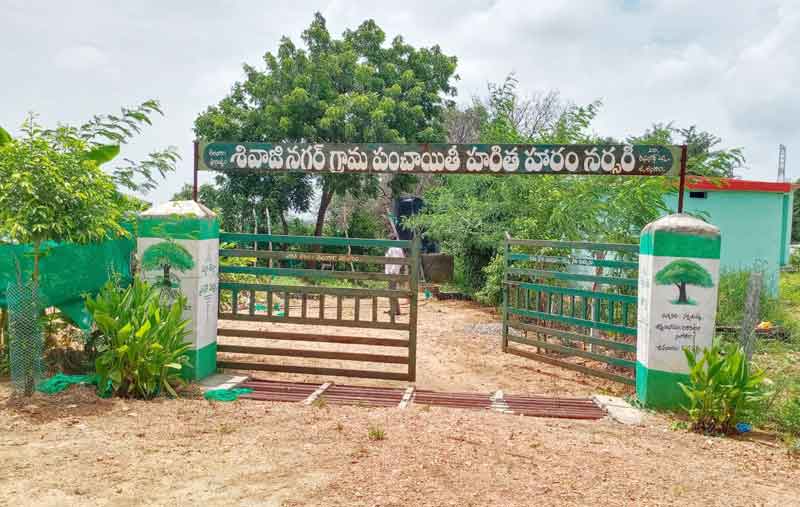 పల్లె చిన్నదైనా.. ప్రగతిలో మిన్న