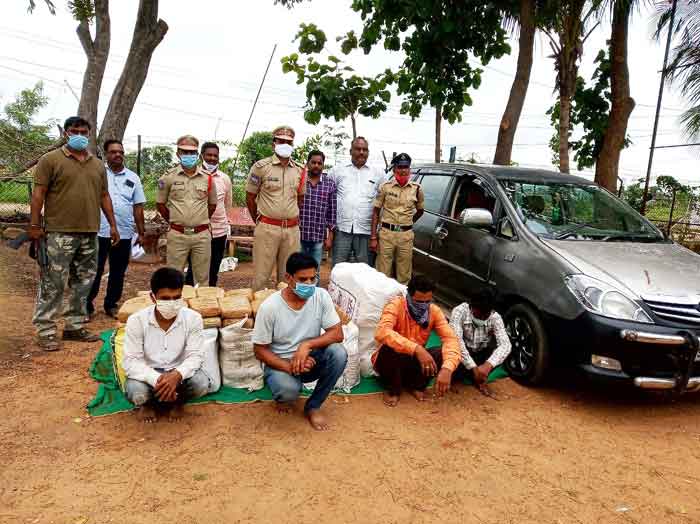 4.21 క్వింటాళ్ల గంజాయి పట్టివేత