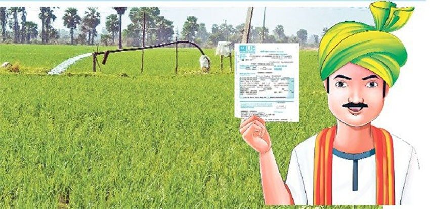 రైతుబీమా దరఖాస్తులకు 30 వరకు గడువు