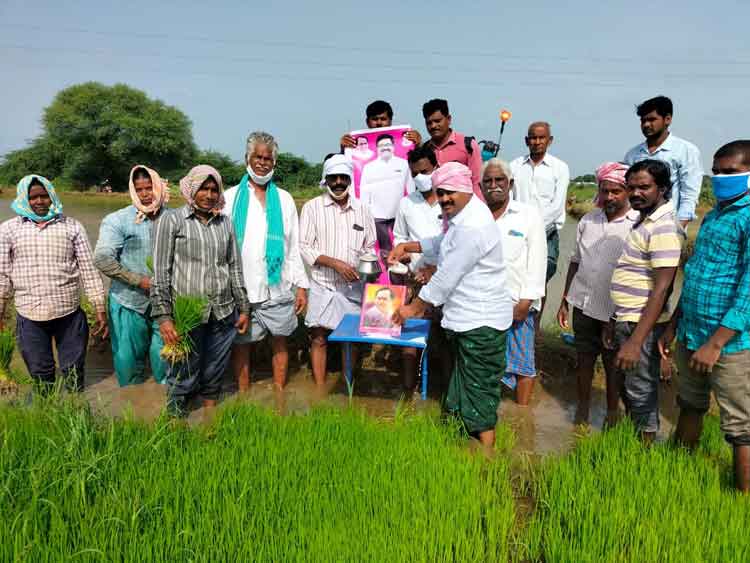 రుణ మాఫీ.. రైతుల ఖుషీ