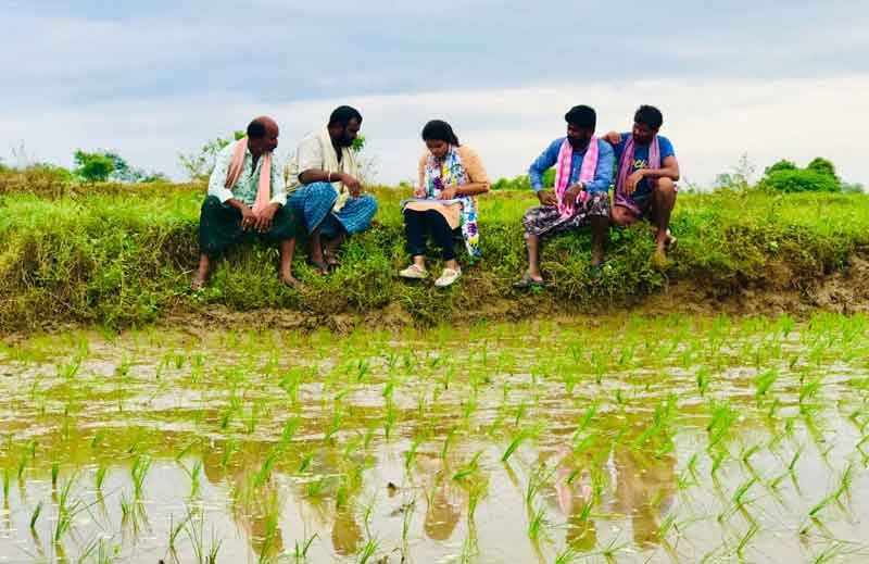 ఆన్‌లైన్‌లో నిక్షిప్తం!