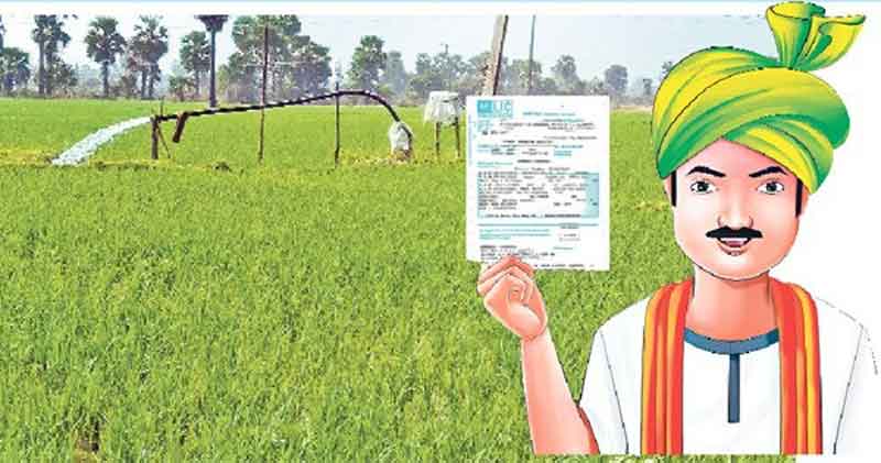 బీమా.. ధీమా