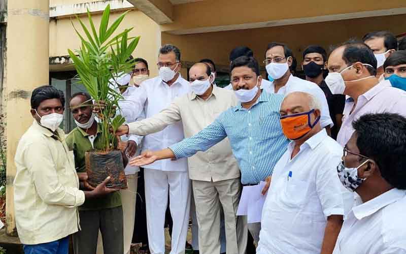 ఆయిల్‌ పాం రైతుల సంక్షేమానికి కృషి