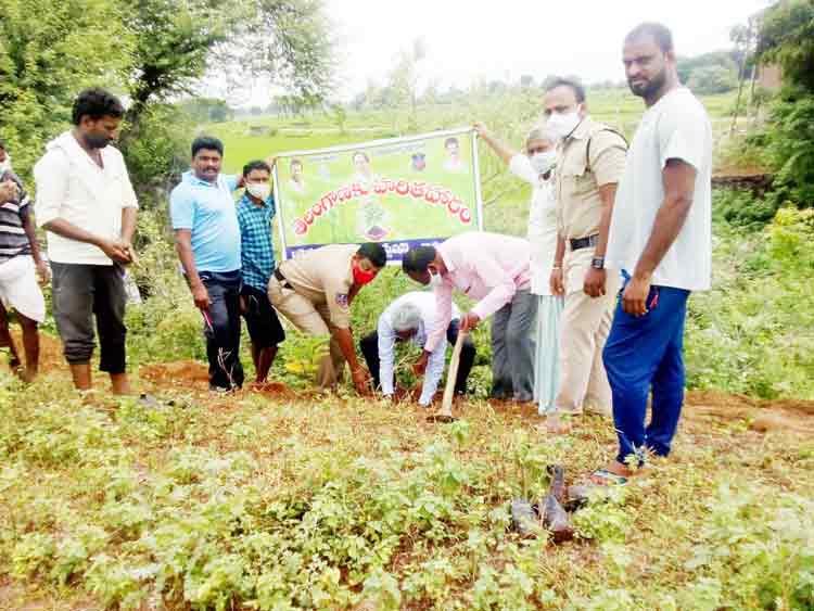 హరితహారం పనులు పూర్తి చేయాలి