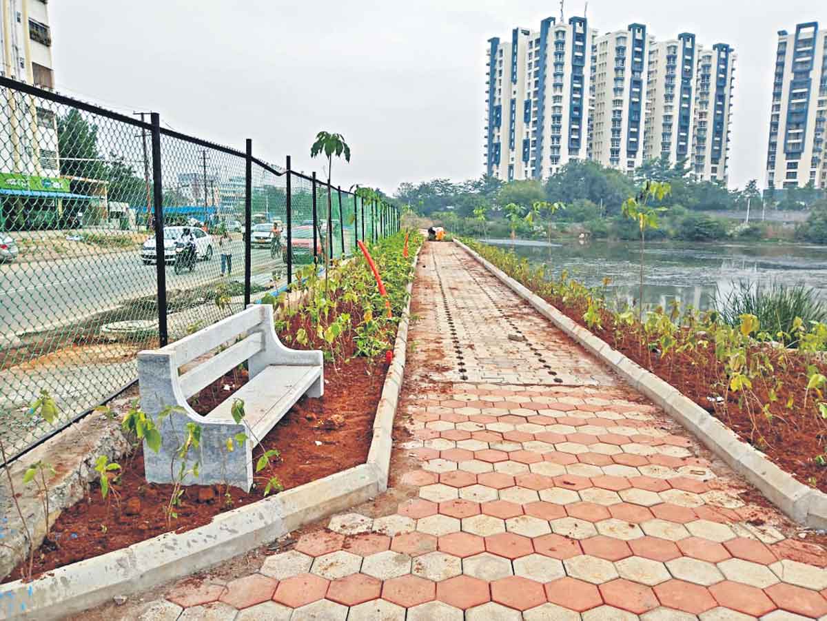 బాధ్యతగా వన్నెలద్ది