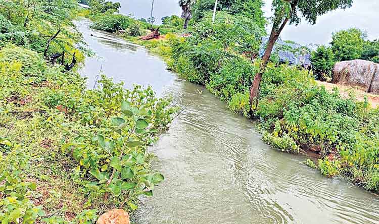 నాడు కన్నీళ్లు.. నేడు కాల్వలో నీళ్లు