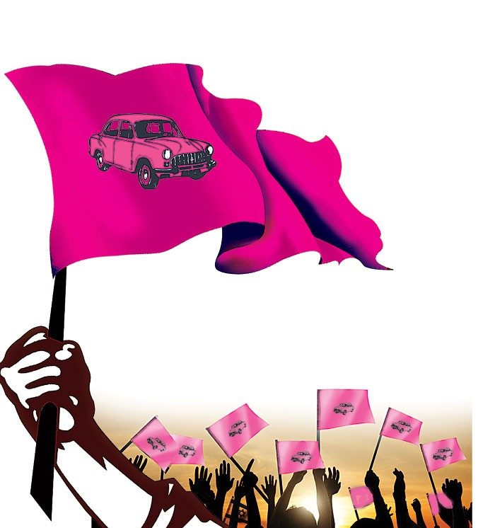 గులాబీ జోష్‌!