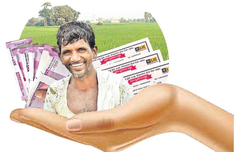 బీమా.. ధీమా..