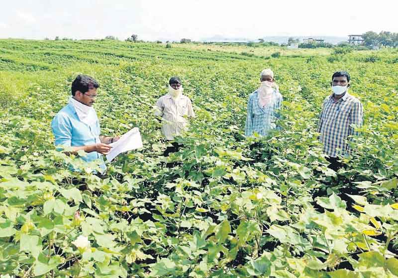 ఏ చోట ఏ పంట…