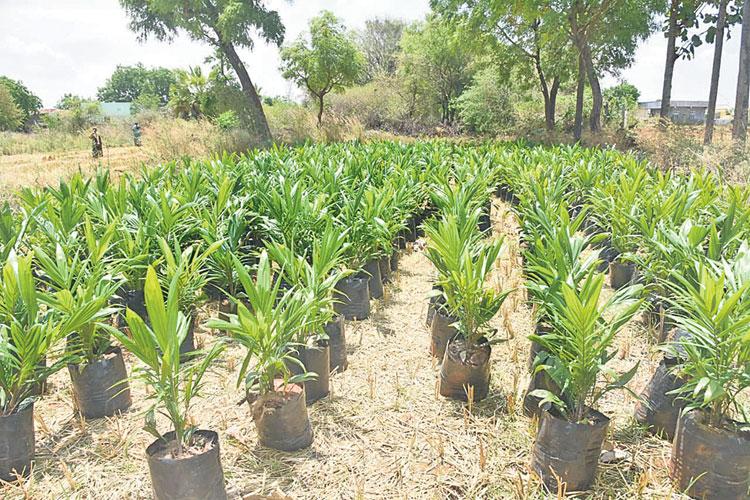 అద్భుత ఆదరణ