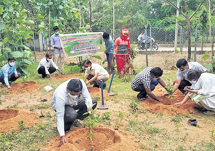 రెండో రోజూ జోరుగా హరితహారం