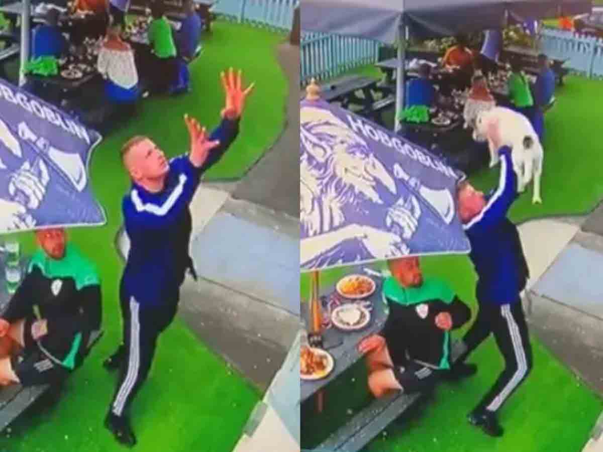 బిల్డింగ్‌ పైనుంచి దూకిన కుక్క.. కాపాడిన వ్యక్తి