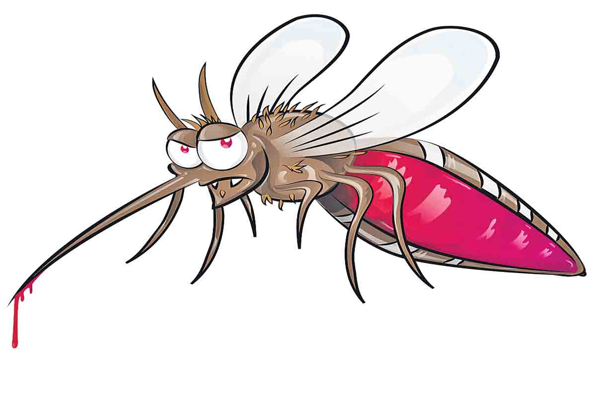 ఆరోగ్యానికి.. నీళ్లొదలొద్దు!