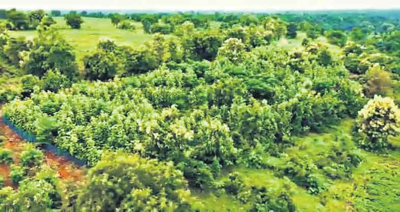 ముక్రా కే గ్రామానికి మరోసారి కేంద్రం ప్రశంస