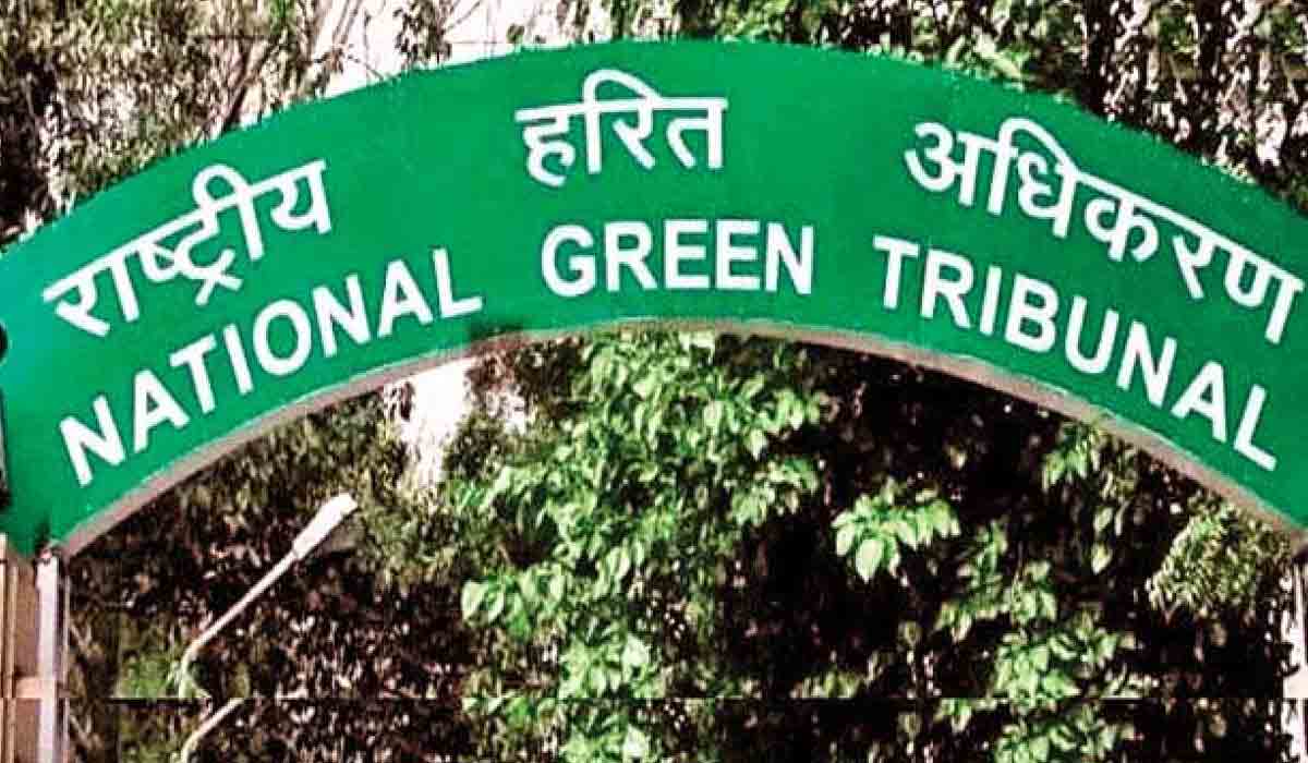 ఎన్‌జీటీ బెంచ్‌ సంచలన వ్యాఖ్యలు : ఏపీ అధికారులను జైలుకు పంపొచ్చా..