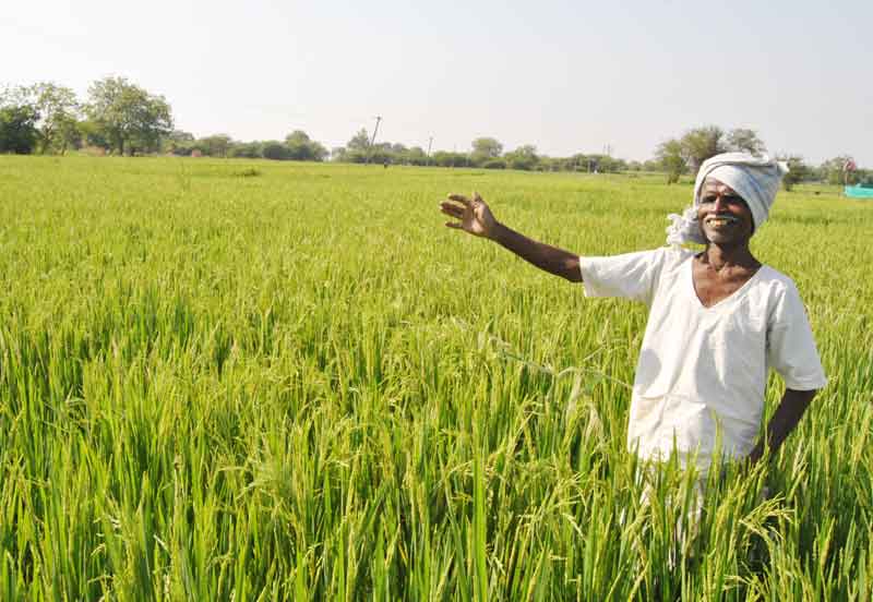రెండో విడుత రుణమాఫీ