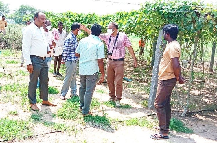 ‘ఉపాధి’ పనులను సమర్థవంతంగా నిర్వహించాలి