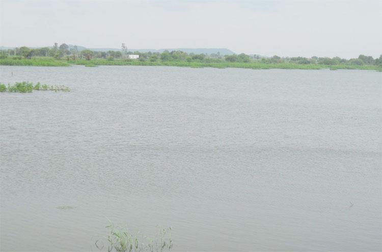 చెరువులకు జలకళ