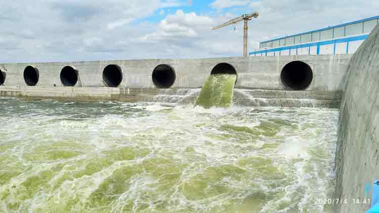 పునరుజ్జీవానికి ఐదేండ్లు