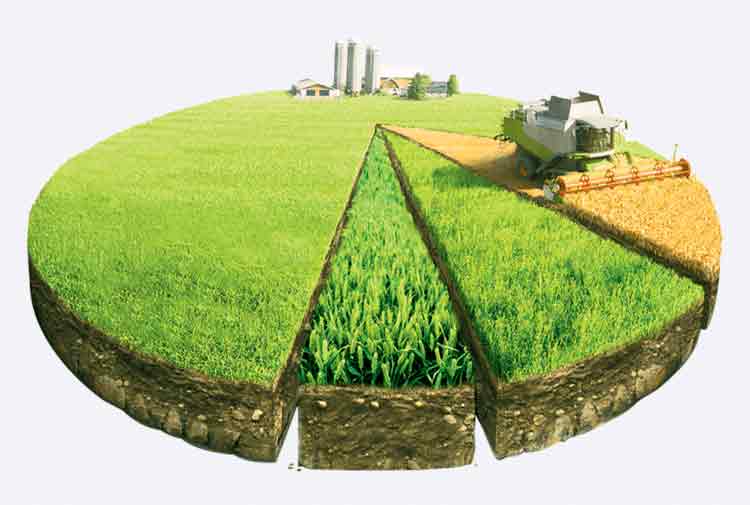 పక్కాగా సాగు లెక్క!