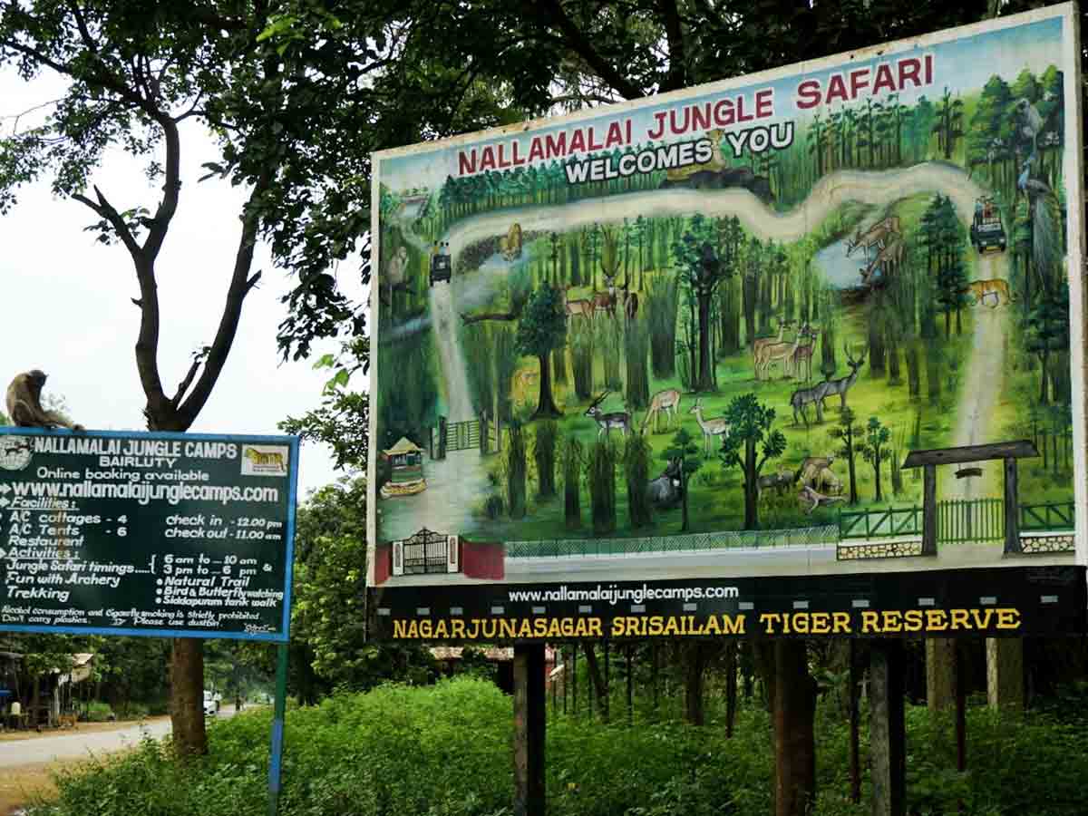 Eco Zone : నాగార్జున సాగర్‌- శ్రీశైలం ఎకో జోన్‌పై ఏపీ ప్రభుత్వ ప్రతిపాదనకు కేంద్రం ఆమోదం