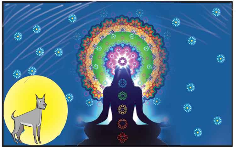 అనేకత్వంలో ఏకత్వం