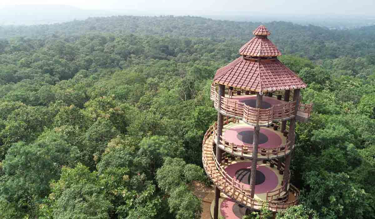 Narsapur forest | వీకెండ్ ఎంజాయ్‌మెంట్‌కు కేరాఫ్ అడ్ర‌స్ న‌ర్సాపూర్ ఫారెస్ట్