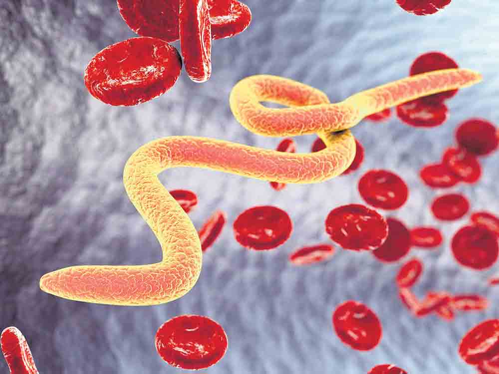 నులి పురుగులతో జాగ్రత్త!