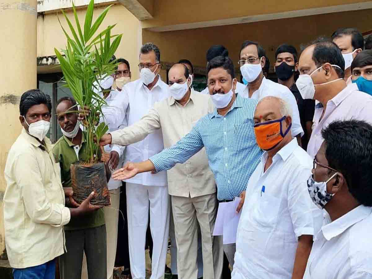 Oil farm farmers | ఆయిల్ ఫామ్ రైతుల సంక్షేమానికి ప్రాధాన్యత..