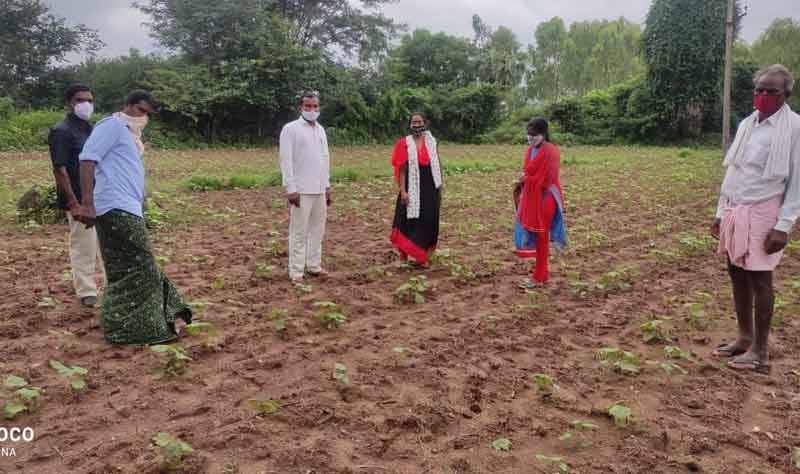 పంటల సాగు @ ఆన్‌లైన్‌