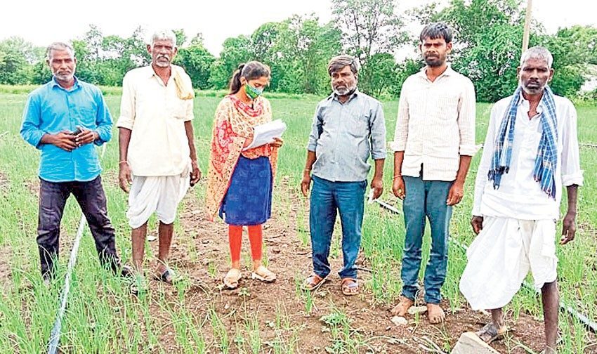 పకడ్బందీగా పంటల సర్వే