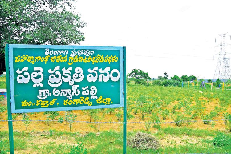 పల్లెప్రగతితో మారిన పల్లె రూపురేఖలు