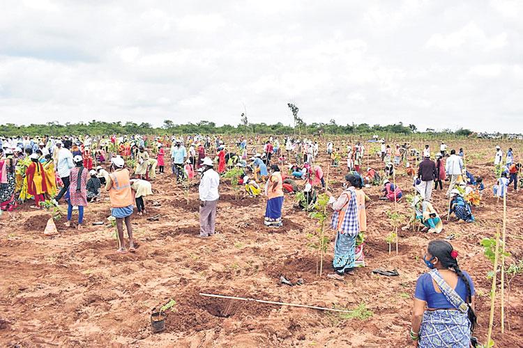 లక్ష్యానికి చేరువలో..