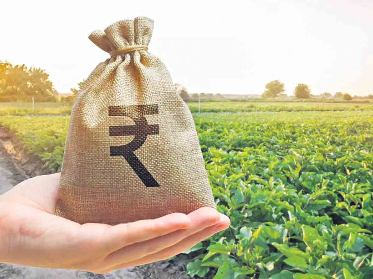 Agri Loan | రూ.50వేల లోపు పంట రుణాలు మాఫీ