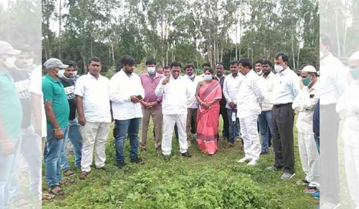 గ‌జ్వేల్ ప‌ట్ట‌ణంలో స‌మీకృత క్రీడా గ్రామం!