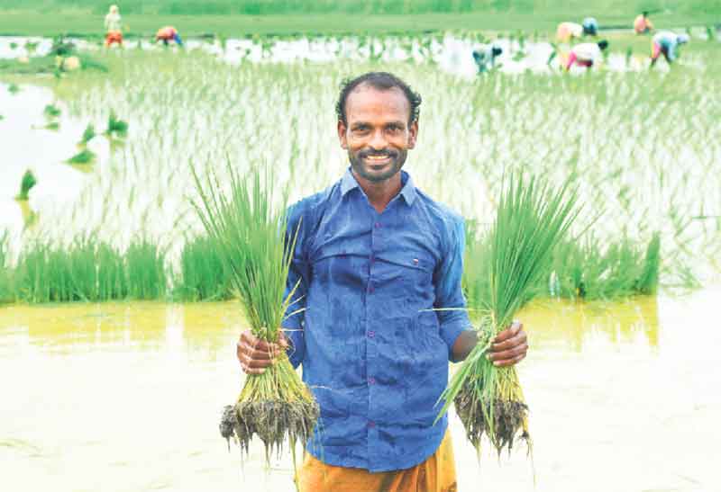 వారంలోనే సగం మాఫీ