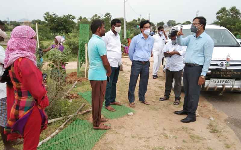 ప్రతి మొక్కనూ సంరక్షించాలి