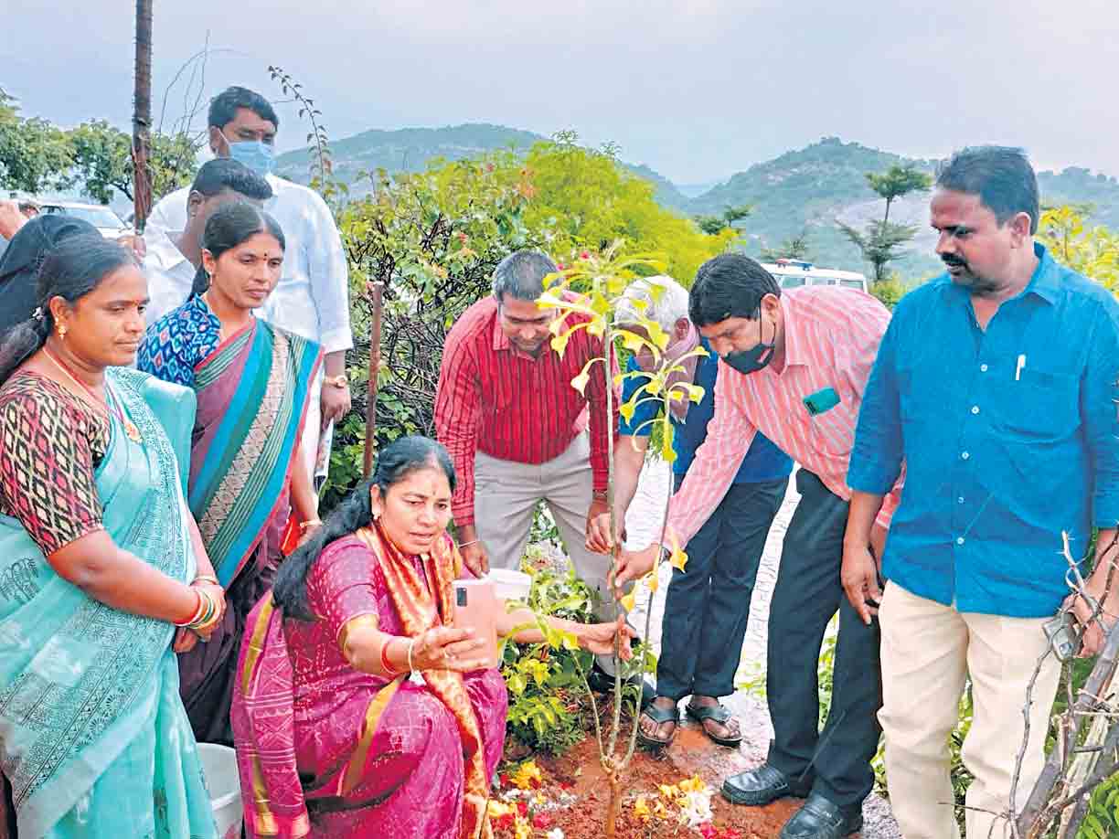 బర్త్‌డే సందర్భంగా విప్‌ సునీత గ్రీన్‌ చాలెంజ్‌
