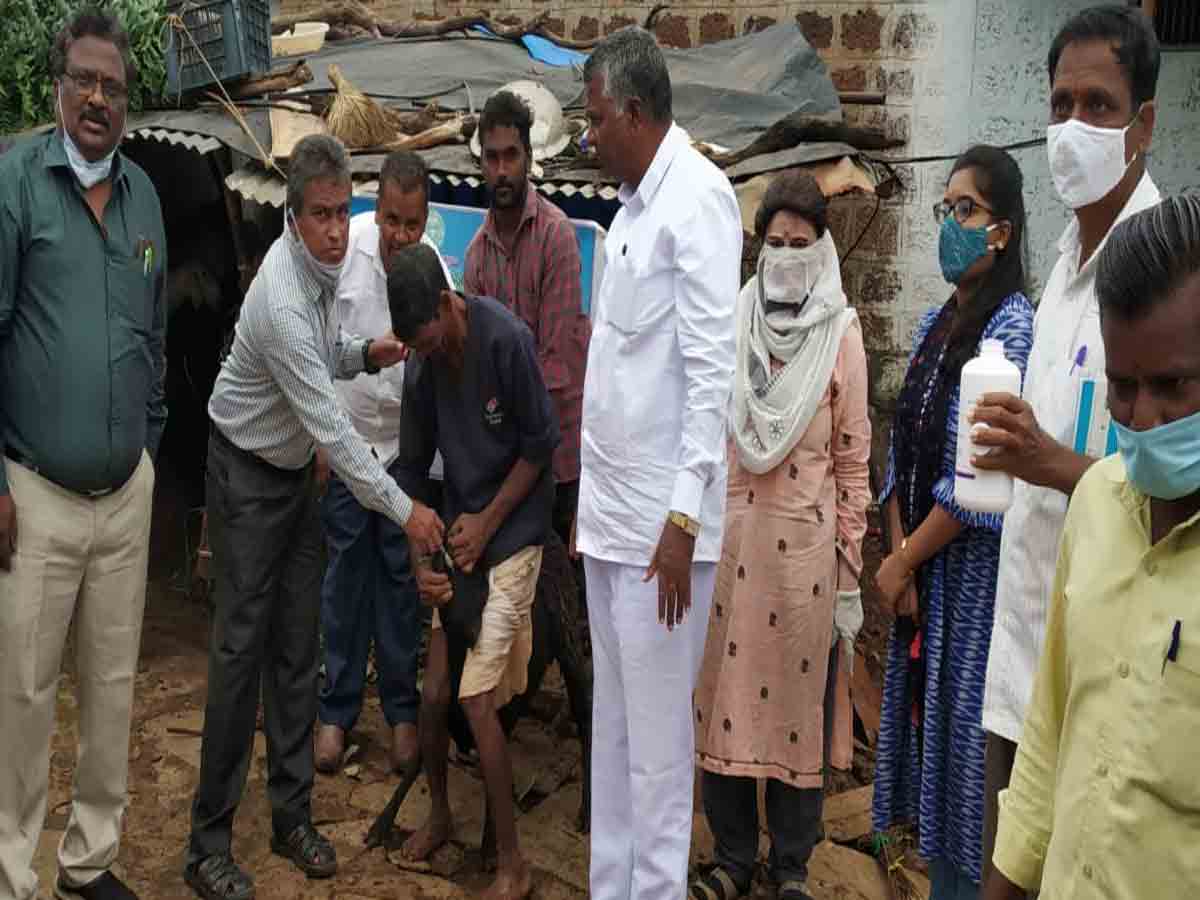 గొర్రెలు, మేకలకు నట్టల నివారణ మందులు వేయించాలి